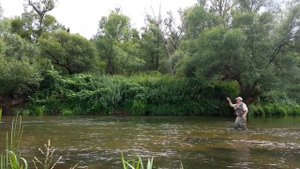 Ловлю голавликов на Наре