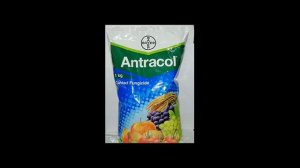 Bayer antracol