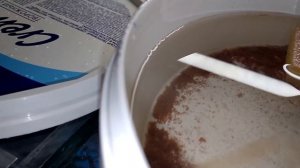 Халявный аулофорус / Аулофорус разведение / Как развивается колония аулофоруса в домашних условиях