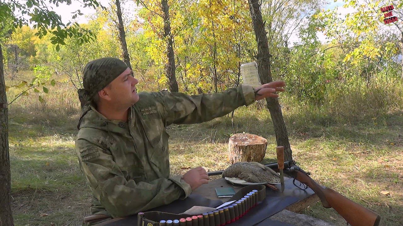 Правила и закон на охоте. Когда вписывать добычу в путевку? Сроки загона на кабана. смотреть онлайн