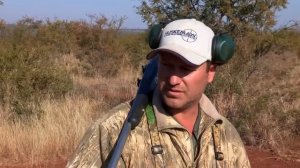 What Are The Best Hunting Calibers For African Game?