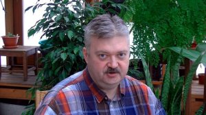 "Хризантелла". Лучшая срезочная сортосерия Астры китайской