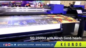 Принтер UV LED гибридный Keundo SQ-2500HUV, 250см, Gen5*5шт