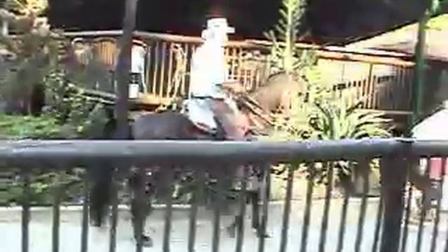 Vikina (hija de bunker exportada a USA).avi смотреть онлайн