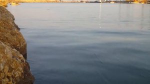 RIVER2SEA BUBBLE PEN 80 topwater lures action test