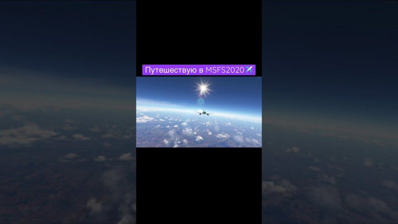 #gaming #msfs2020 #youtubeshorts #тюлень