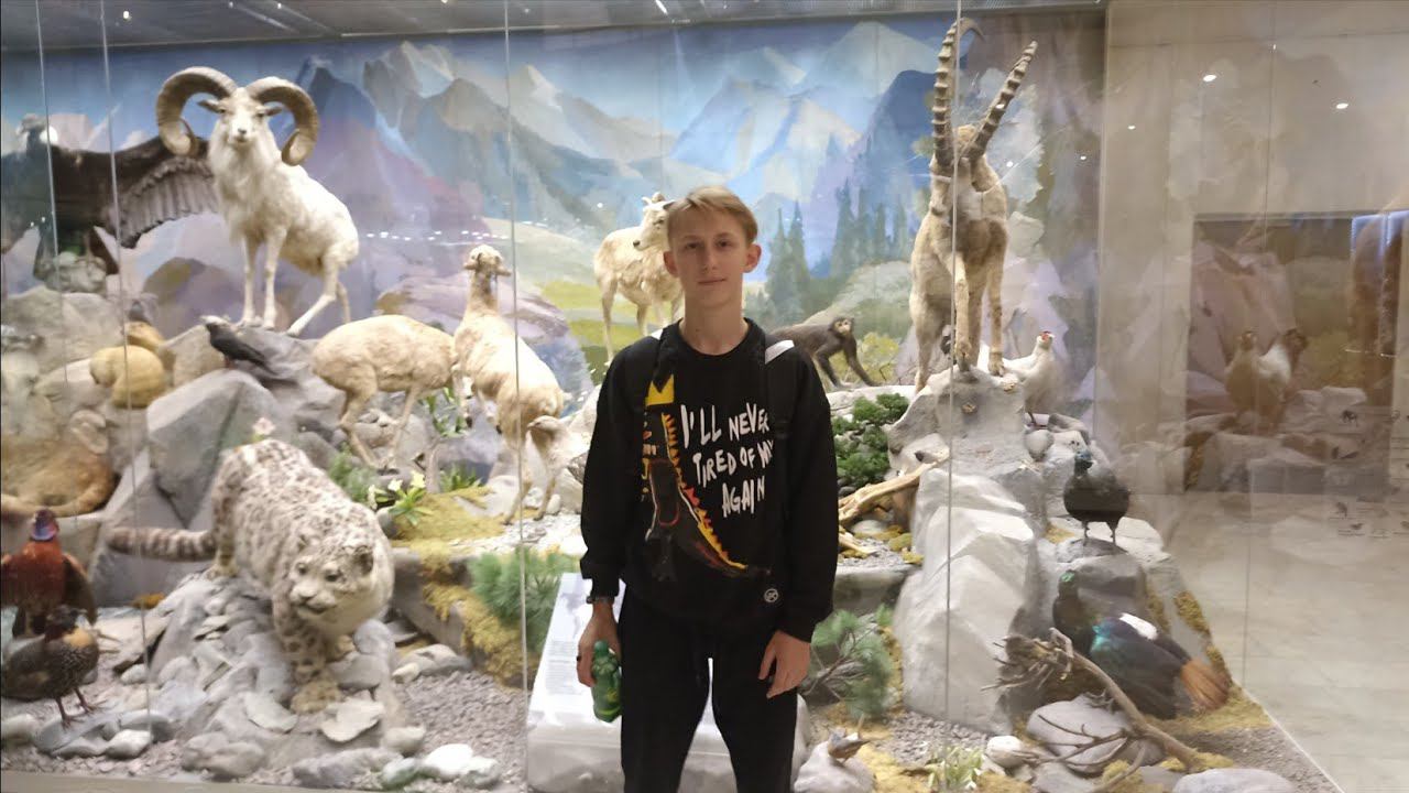 Прогулка по Московскому Дарвиновскому Музею! смотреть онлайн