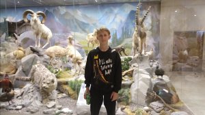 Прогулка по Московскому Дарвиновскому Музею!