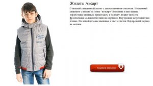 Жилеты Аксарт утепленный