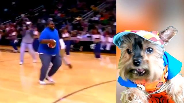 ЭВОЛЮЦИЯ ТОЛСТЯКА И ПОПЫ - МАКСИМАЛЬНЫЙ УРОВЕНЬ! (Fat Pusher Bounce Big MAX LEVEL) Валеришка Макс смотреть онлайн