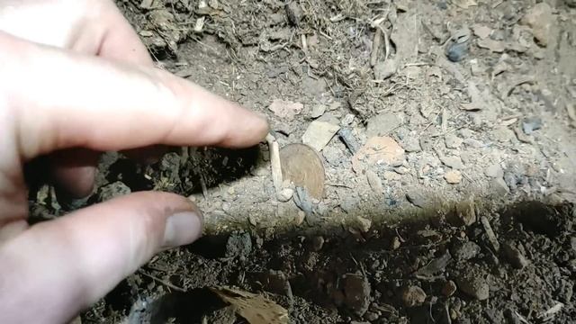 ШУРФ дома Священника☦Монеты под досками и в подвале