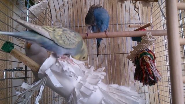 MOV 1728 смотреть онлайн