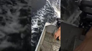 Мотор болотоход 7 л.с.