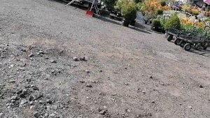 Питомник растений й в Польше.