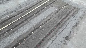 Посадка озимого лука в декабре. Как предотвратить стрелкование лука.