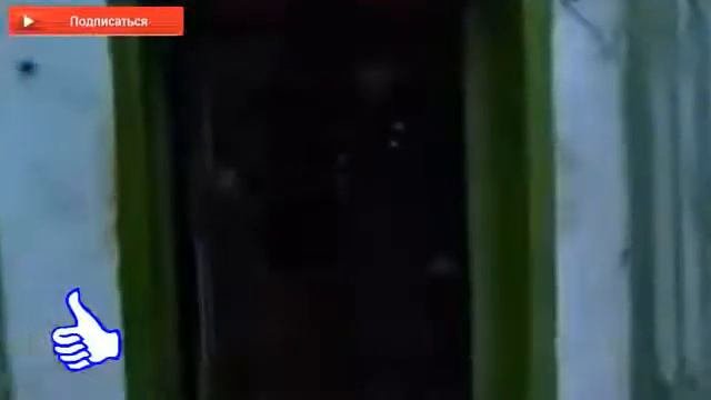 Самые громкие бунты в российских тюрьмах