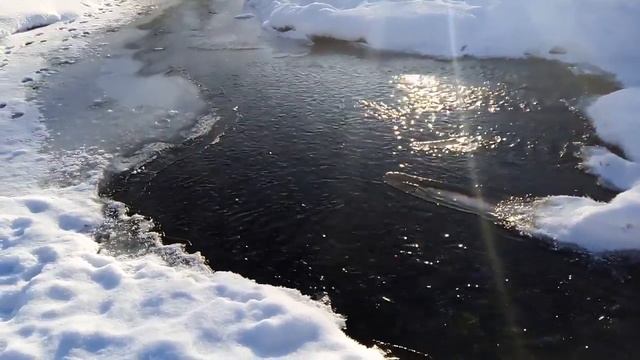 ЗИМНЯЯ ПРОГУЛКА