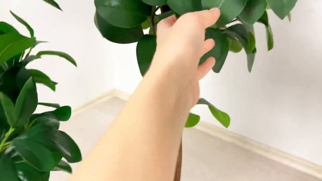 Искусственные деревья высотой около 100см смотреть онлайн