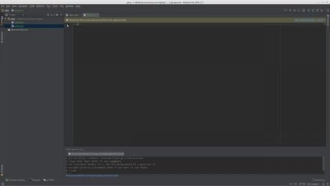 PHP. Xdebug + PHPStorm