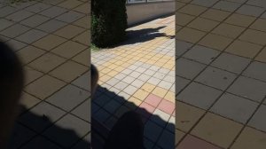 Запись звонка из плохой компании по банкротству физических лиц.