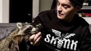 Гуф (GUF) - Распорядок Дня