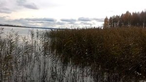 Рыбалка на Костромском ВДХ. Октябрь