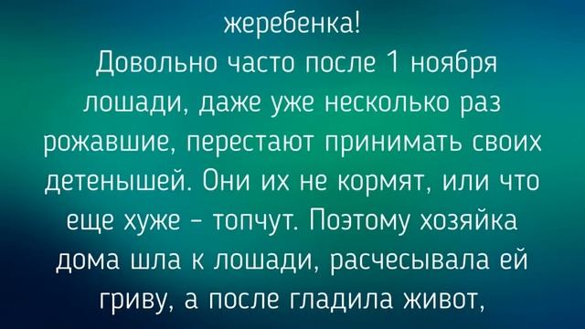 1 НОЯБРЯ - ИВАНОВ ДЕНЬ . ЗАГОВОРЫ. ТРАДИЦИИ / "ТАЙНА СЛОВ" смотреть онлайн