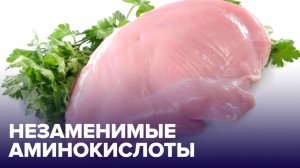 Незаменимые АМИНОКИСЛОТЫ и зачем они нужны?