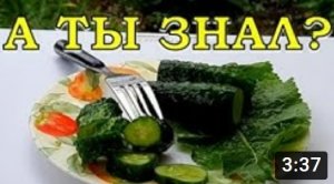 Что делать с переросшими ОГУРЦАМИ? Супер-рецепт???