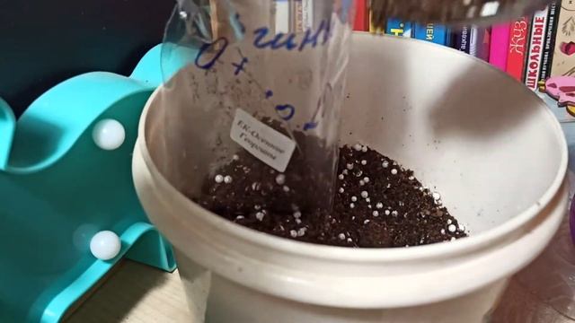 Сажаем фиалки в зип-пакеты детки появятся очень быстро смотреть онлайн