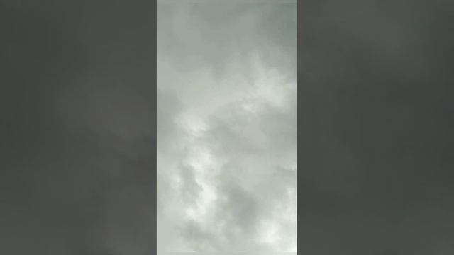 Игровые Голуби в Германии / Тяга и Шум Старых Кровей ? смотреть онлайн