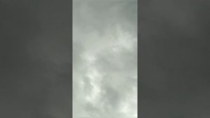 Игровые Голуби в Германии / Тяга и Шум Старых Кровей ?