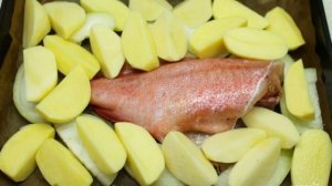 Морской окунь, запеченный в духовке с овощами