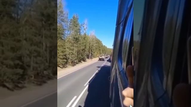 США перебрасывают войска в Польше к белорусской границе смотреть онлайн