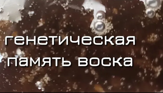 Воск при Перетопке издаёт Звуки Пчёл в улье! Генетическая Память Воска