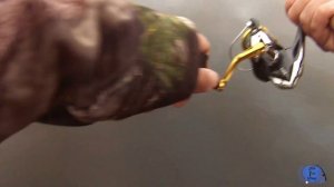 How To Catch Crappies With Gulp Alive Minnow