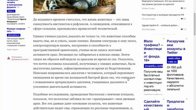 Что снится животным смотреть онлайн