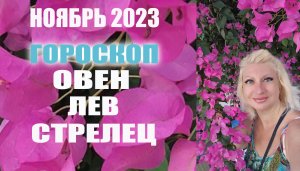 Гороскоп ОВЕН ЛЕВ СТРЕЛЕЦ ноябрь 2023 Прогноз Светлана ВЕДА