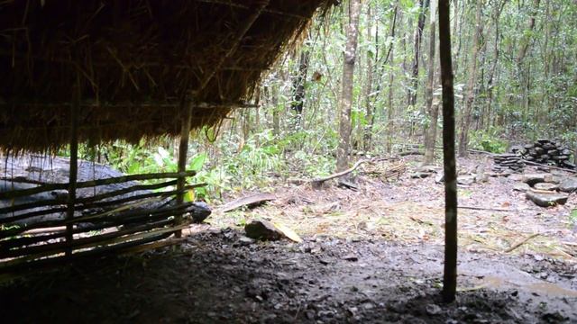 Primitive Technology Grass thatch, Mud hut