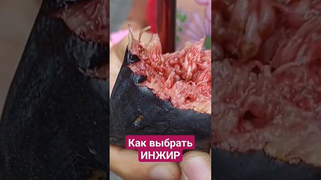 Как выбрать #инжир