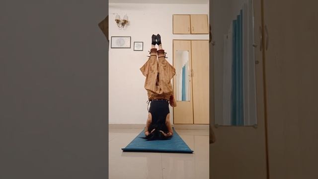 Headstand / Shirshasana!!@samatvamyog6259 #yoga #headstand #practice #balance #journey #yogateacher