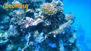 Arabia Azur Resort 4* Hurghada, ( Egypt) FULL TOUR