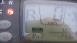 подкармливаем новорожденного ягненка молоком, 1 августа.