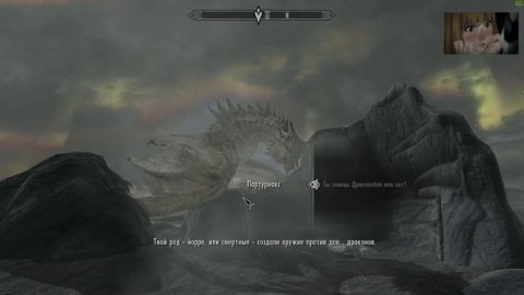 Мэддисон прошел Skyrim