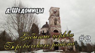 Церковь Иоанна Предтечи | д.Шедомицы | Боровичский район