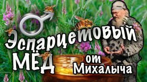Эспарцетовый мед от Михалыча