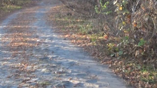 Самый мистический остров - "Зеленый" .г. Ростов-на-Дону. Поход....Рыбалка. смотреть онлайн