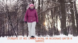 Команда "Выдержка" – как научить собаку сидеть на месте?
