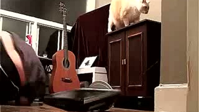  Ха-ха)) прикол  смотреть онлайн