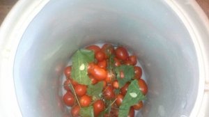 Засолка помидоров в бочках